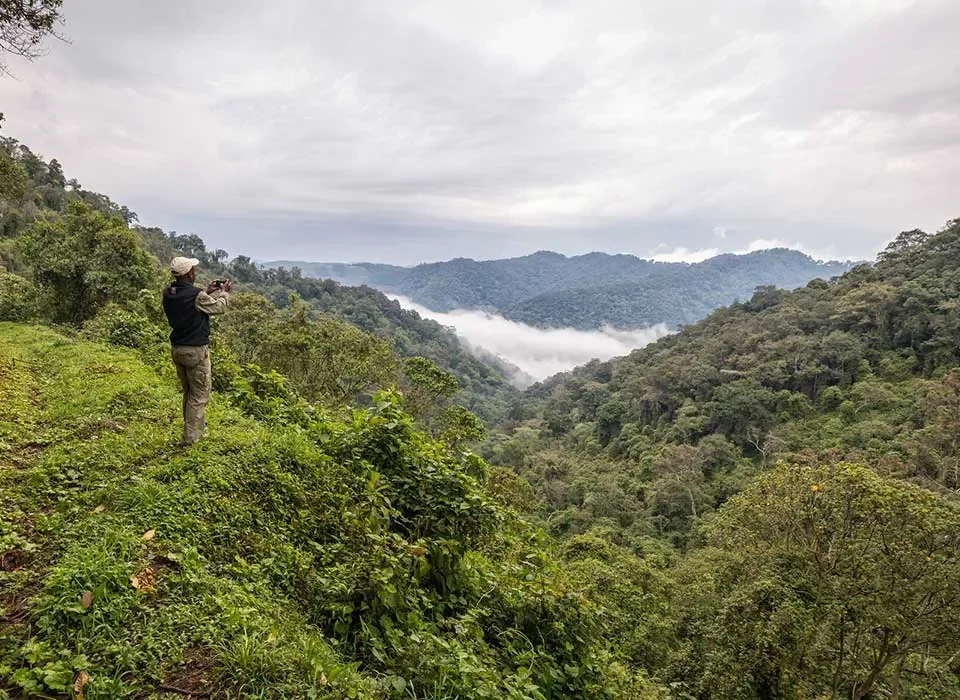 Bwindi-Gorilla-National-Park