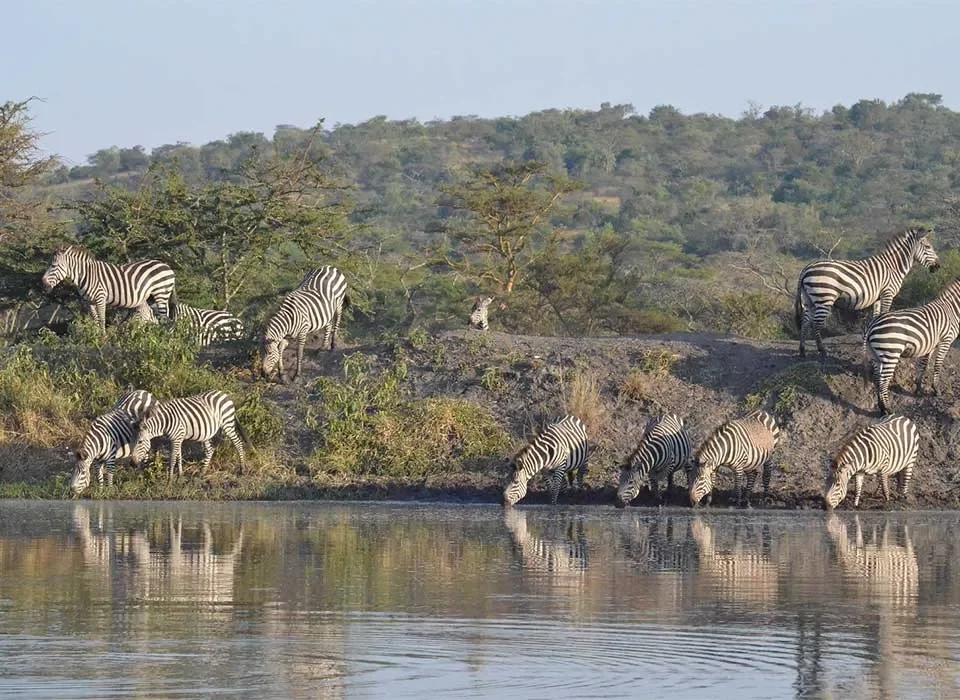 Lake-Mburo-National-Park