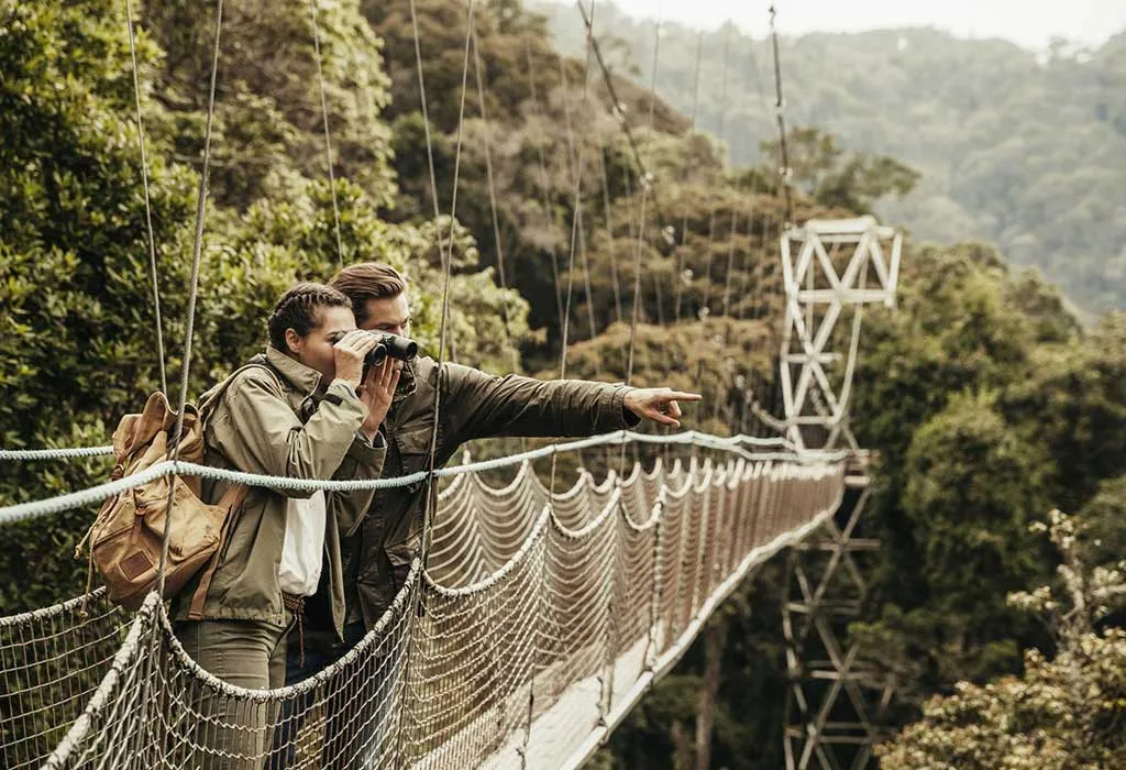 Tanzania and Rwanda for First-Time Safari Travelers