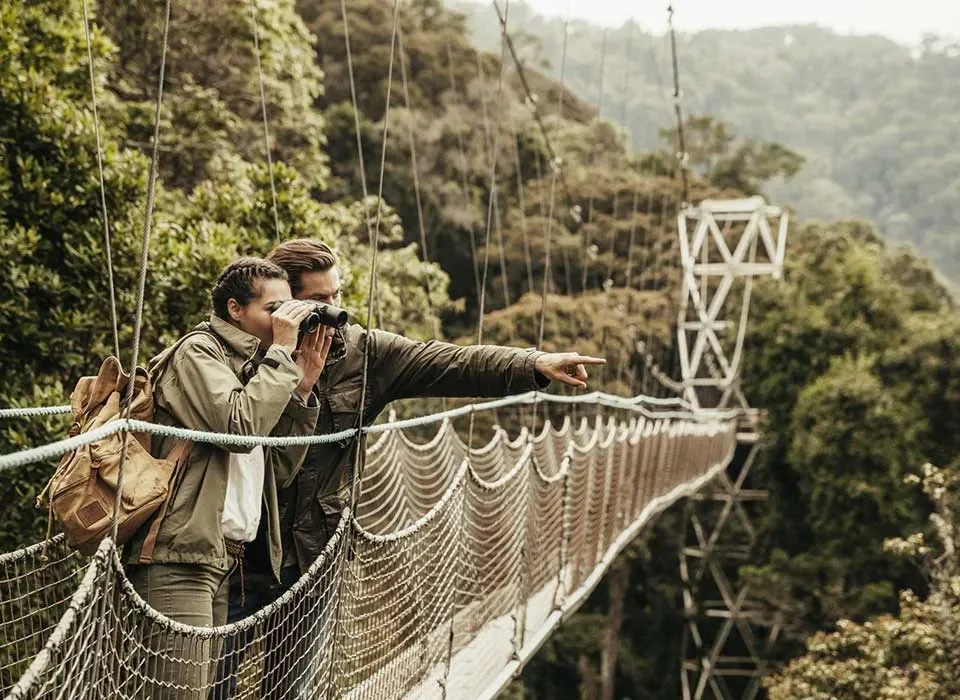 Nyungwe Forest National Park