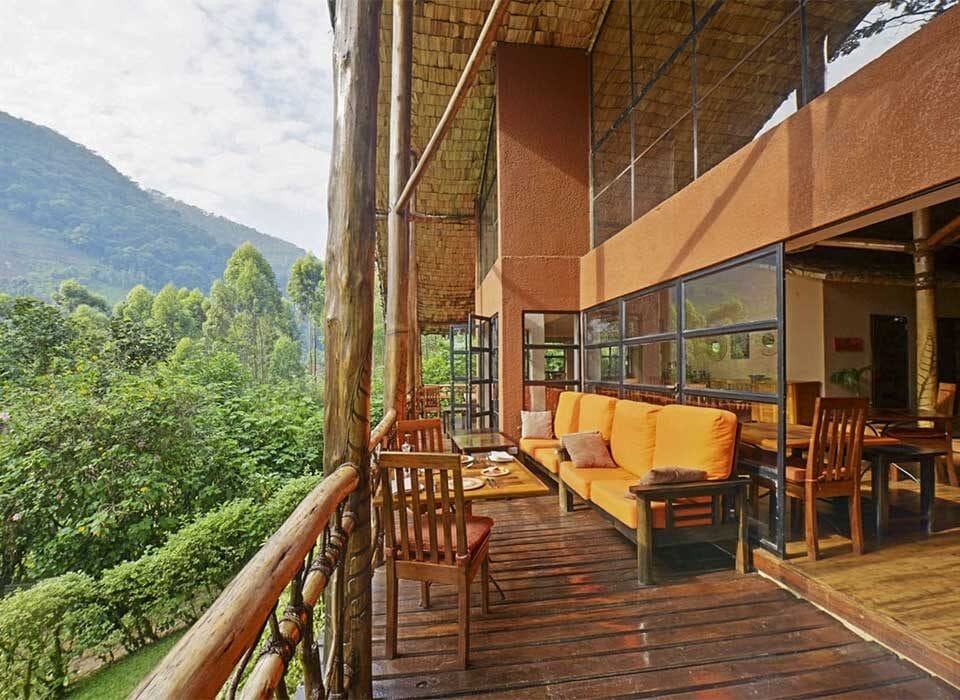Budget Lodges in Bwindi Impenetrable Forest National Park