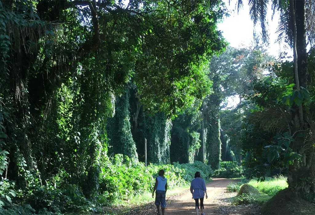 Entebbe Botanical Garden