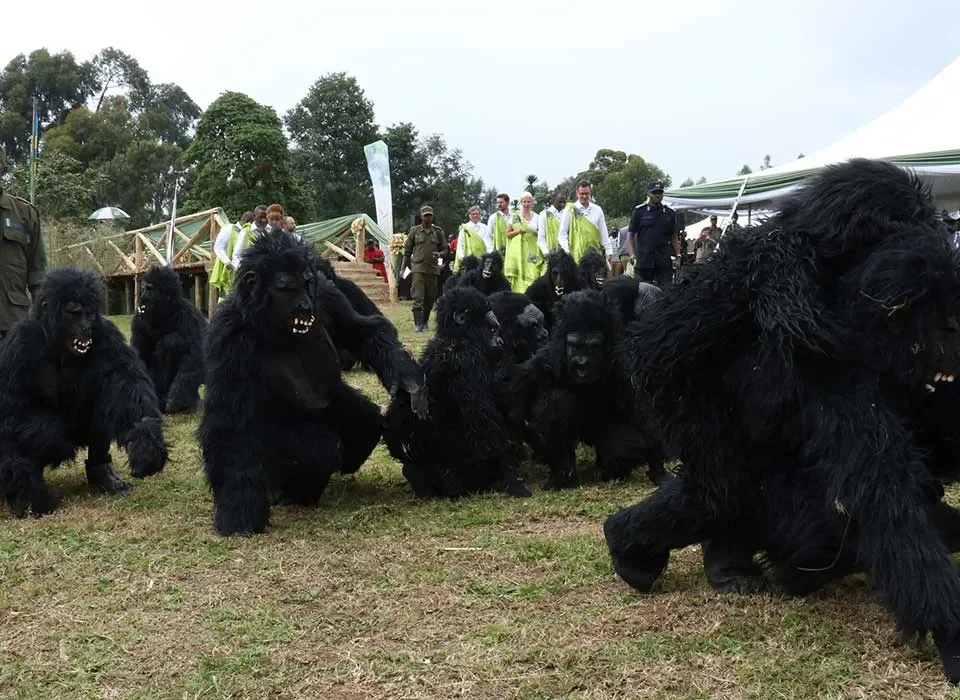 Gatecrashing the Annual Kwita Izina Gorilla Naming Festival