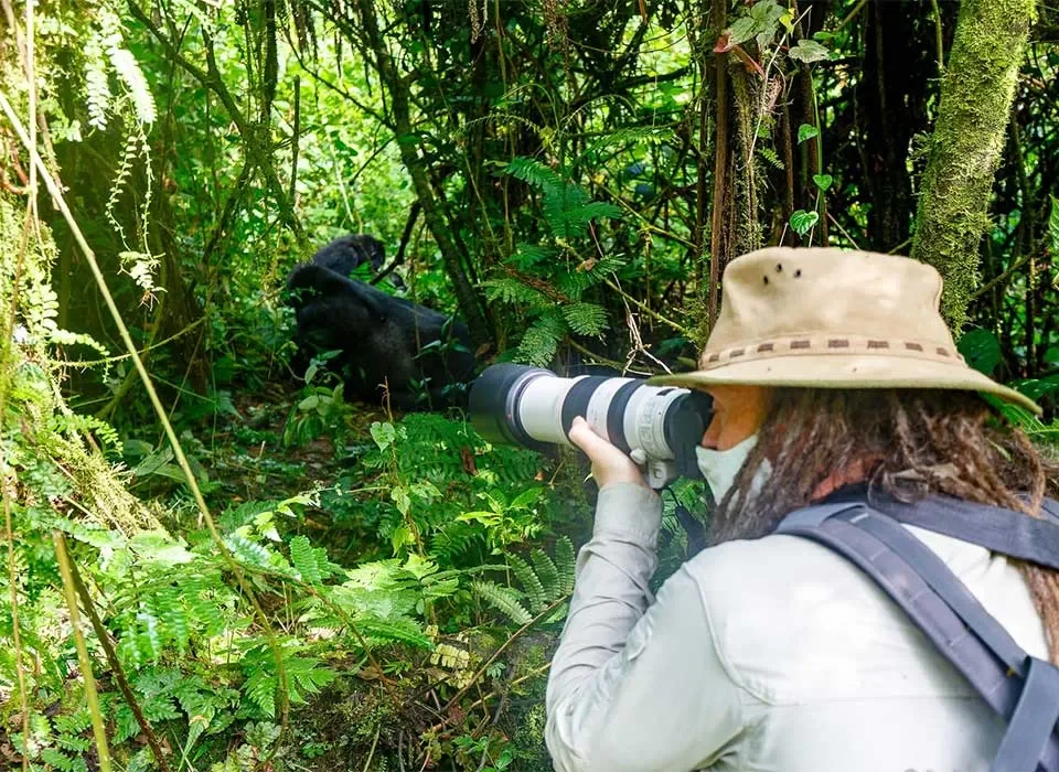 Gorilla Trekking in Uganda