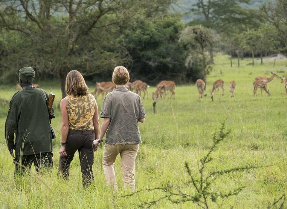 Guided Walking Safari Adventures in Uganda