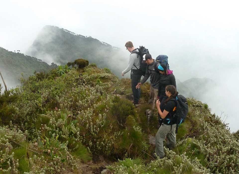 Hiking the Virunga Volcanoes & Trekking Gorillas in Uganda – 8 Days