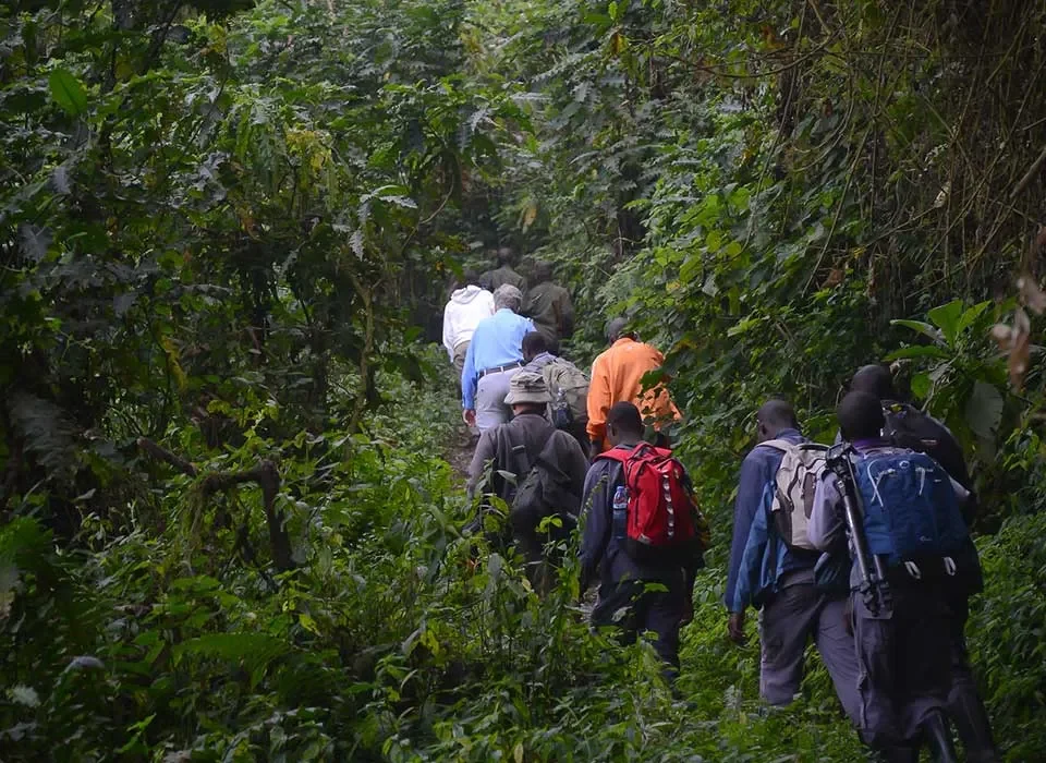 Importance of responsible and sustainable travel practices when visiting mountain gorillas in Uganda and Rwanda