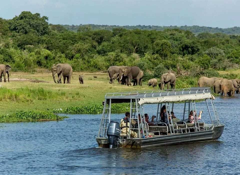 Is Uganda Entirely safe for Safaris?