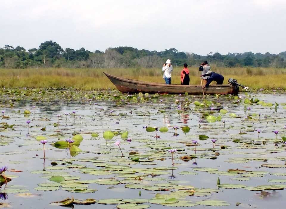 Lake Victoria, Mabamba Swamp