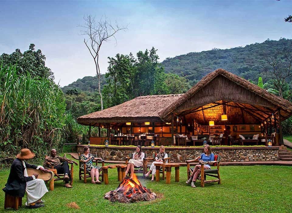 Luxury Lodges in Bwindi Impenetrable Forest National Park