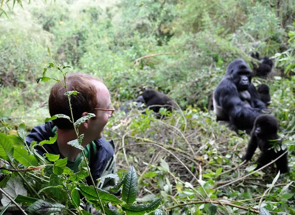 Luxury and VIP Gorilla Trekking in Rwanda