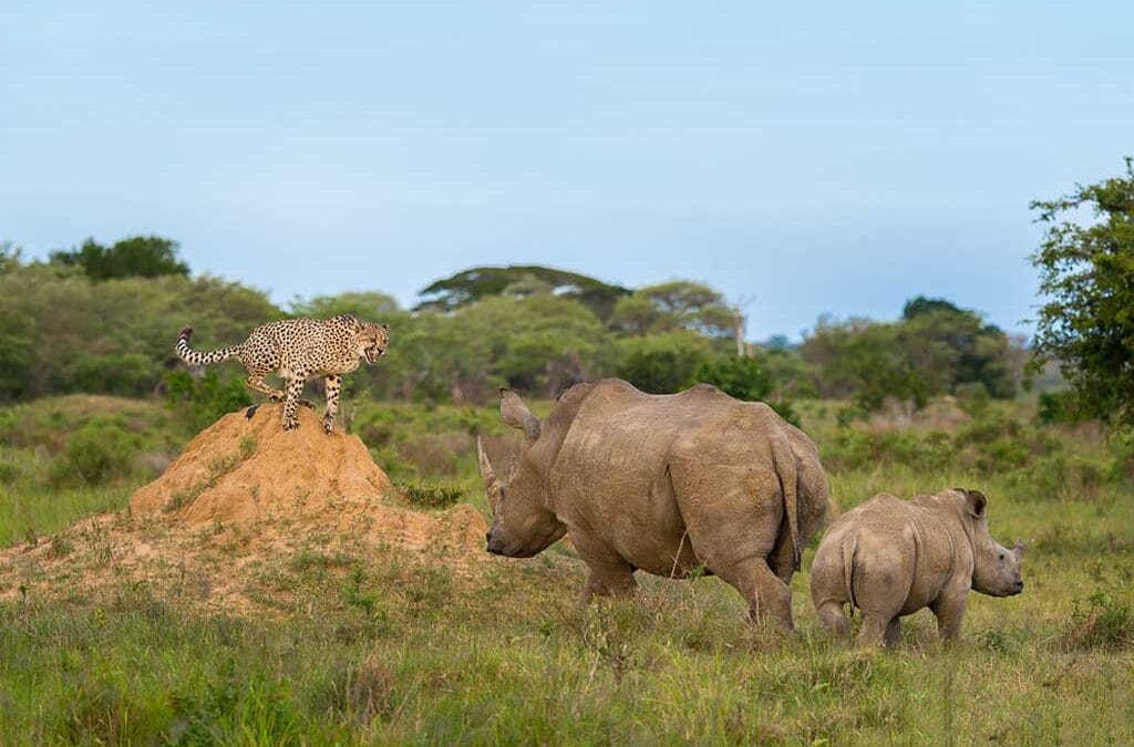 Things to Do in Kenya – Top 10 Tourist Attractions
