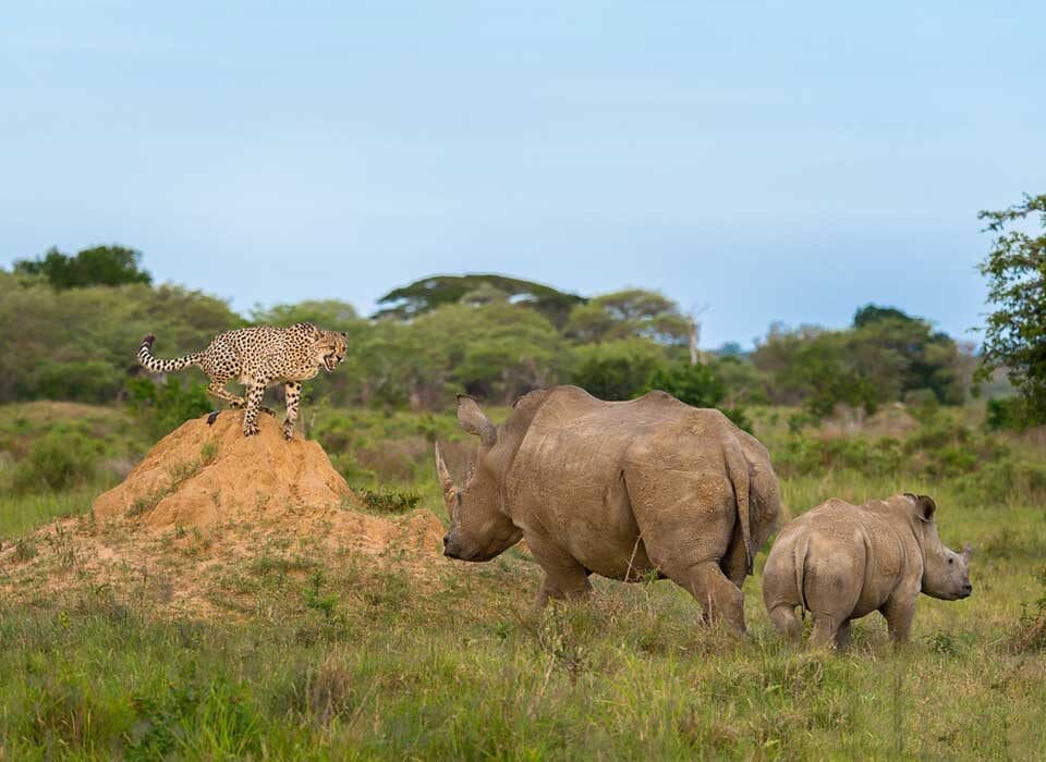 Things to Do in Kenya – Top 10 Tourist Attractions