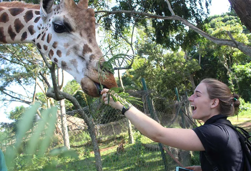Uganda Wildlife Education Centre (UWEC)