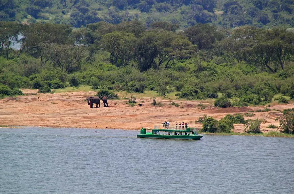 1 Day Queen Elizabeth National Park Adventure