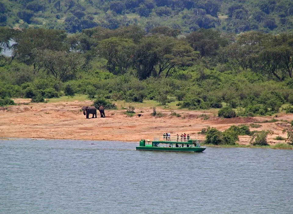 1 Day Queen Elizabeth National Park Adventure