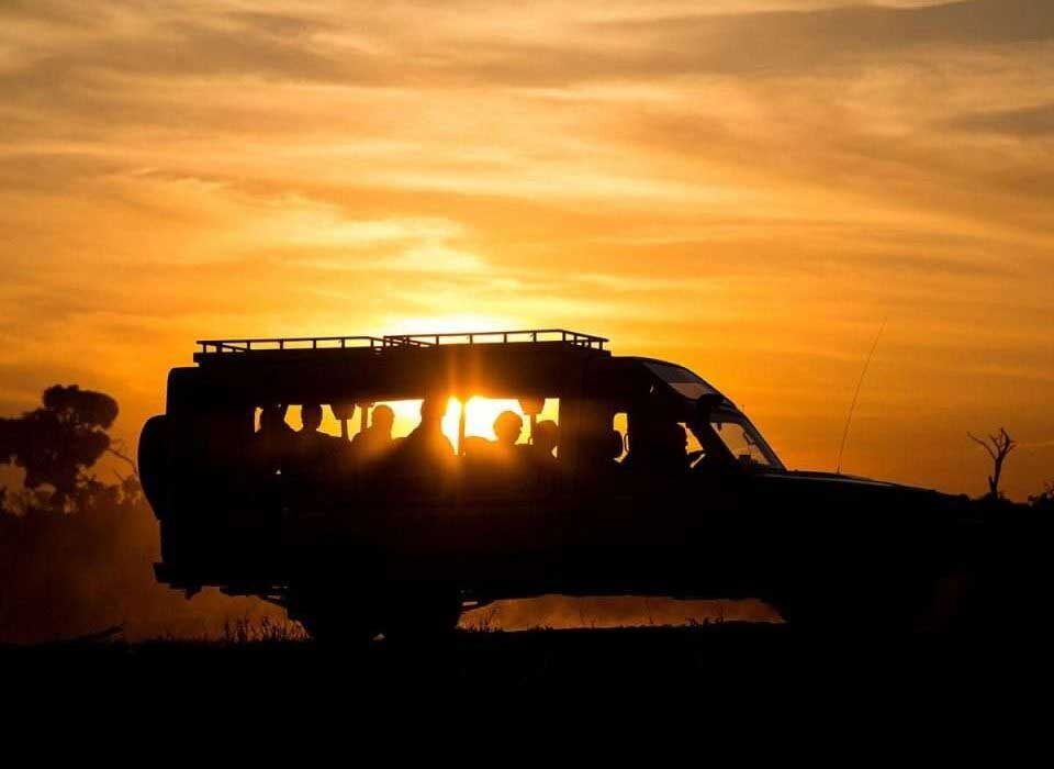 Best Destinations for Night Name Drives in Uganda