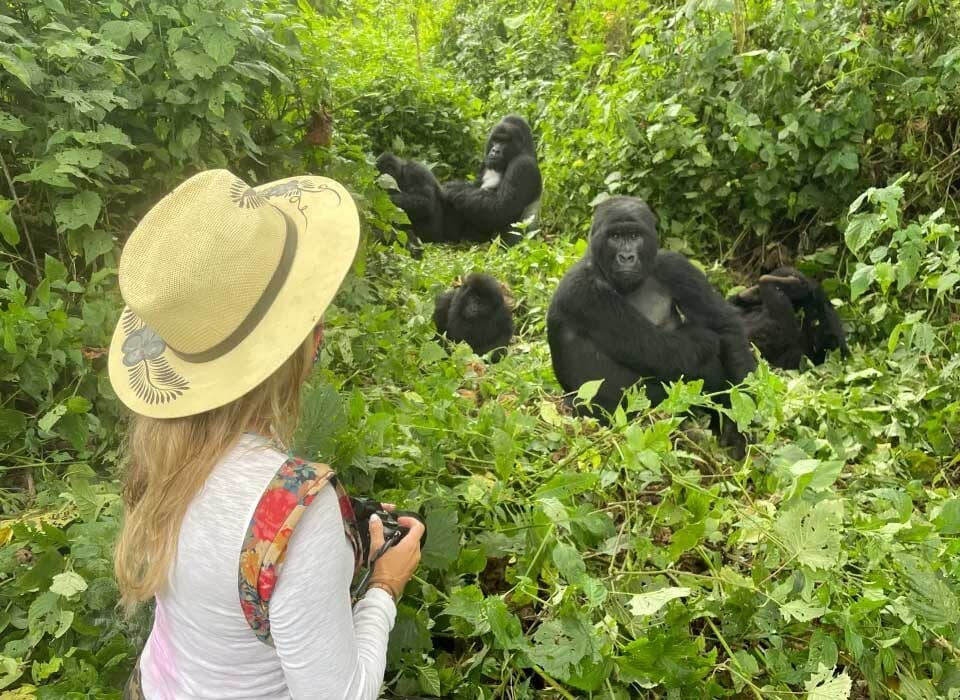 Budget Gorilla trekking Safaris in Uganda