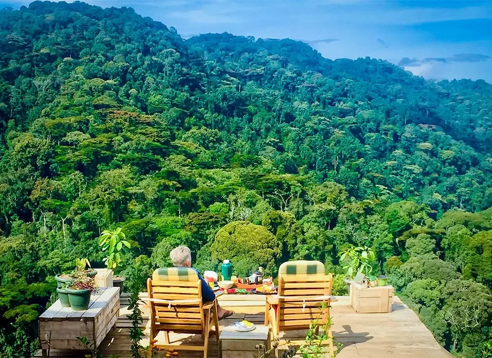 Bwindi Impenetrable Forest, Uganda