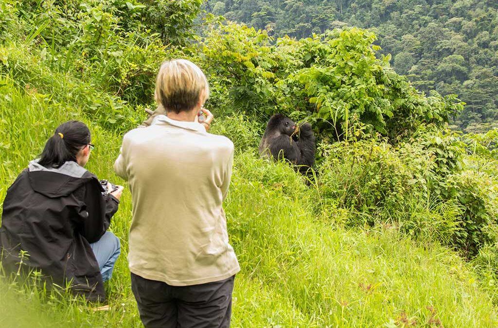 Combined Gorilla Trekking in Bwindi Forest National Park and Masai Mara Safari