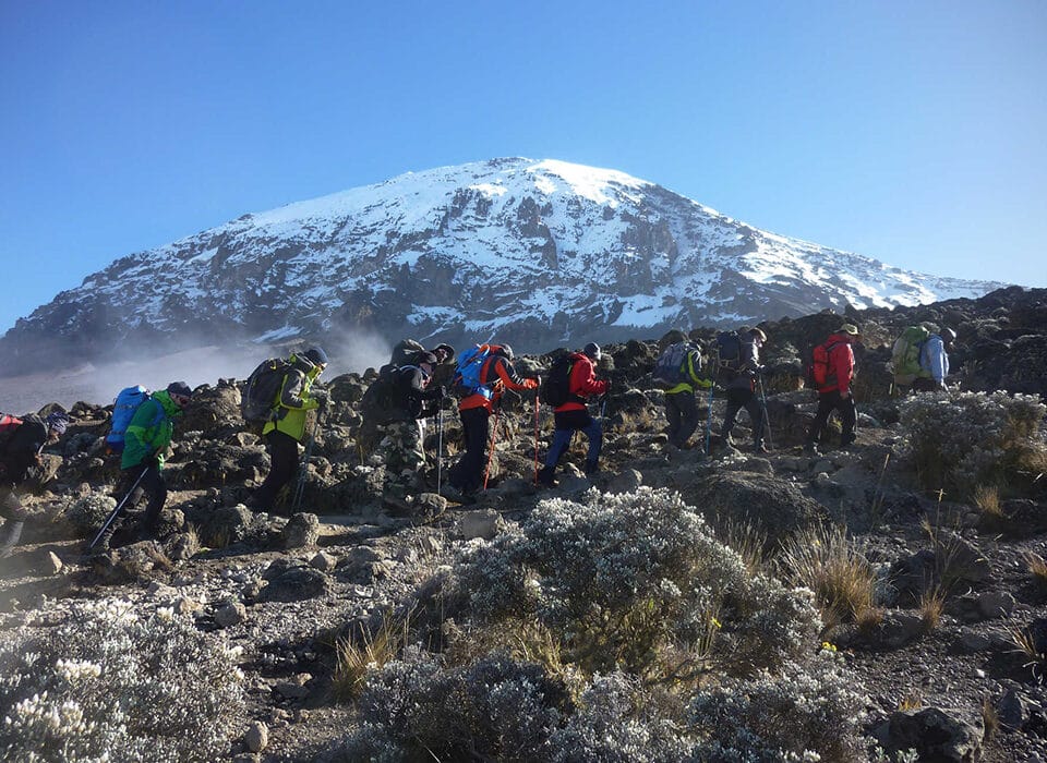 Combining Kilimanjaro Hiking with Gorilla Trekking in Congo