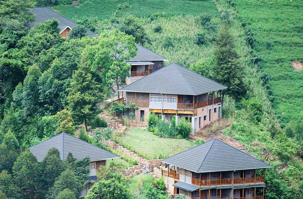 Gorilla Leisure Lodge – A Luxury Safari Lodge in Rushaga