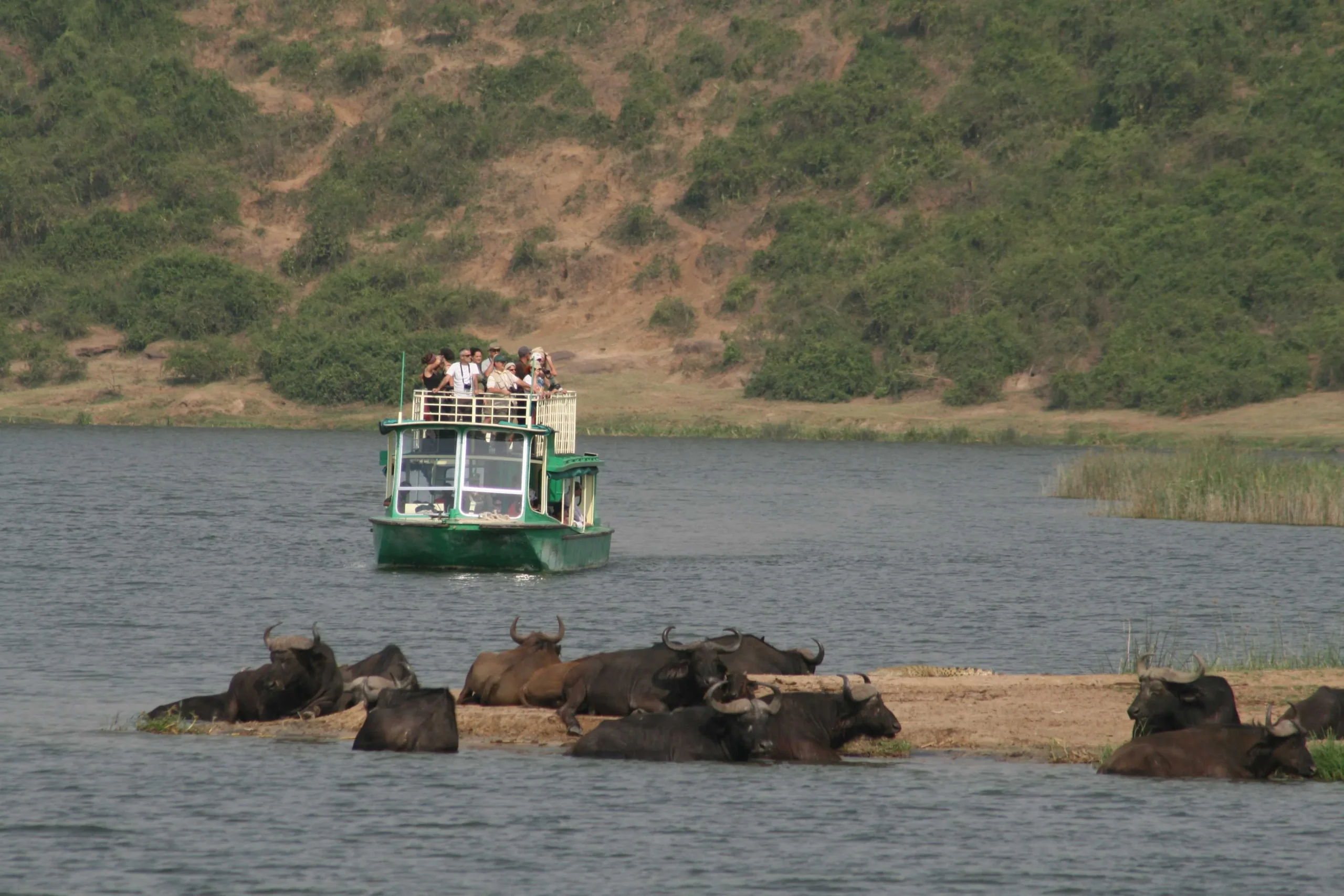 Launch Trip on the Kazinga Channel in Queen Elizabeth National Park