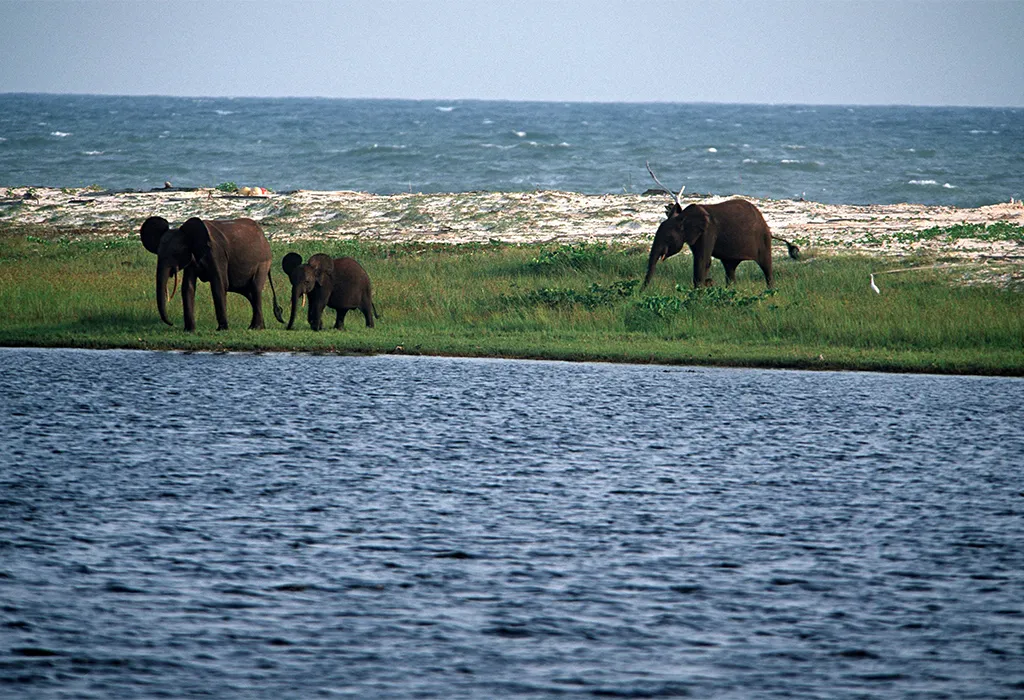 Loango National Park, Gabon