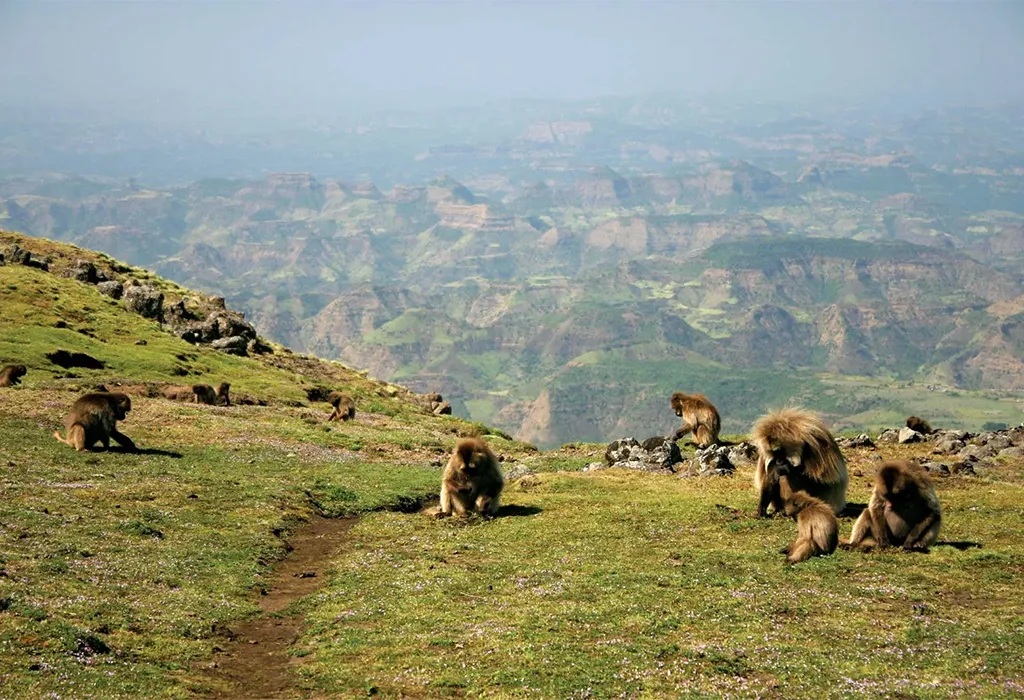 Simien Mountains National Park, Ethiopia