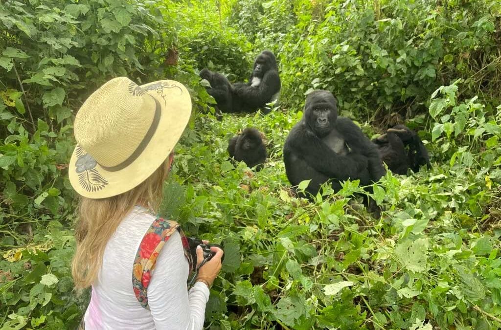 Tips for Affordable Gorilla Trekking with Iconic Africa Safaris Ltd