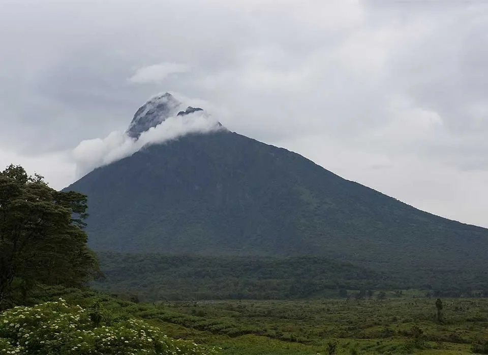 Virunga National Park Vs Volcanoes National Park