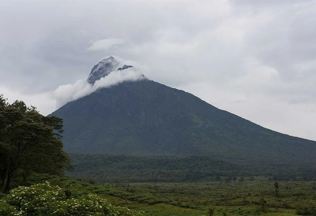 Virunga National Park Vs Volcanoes National Park