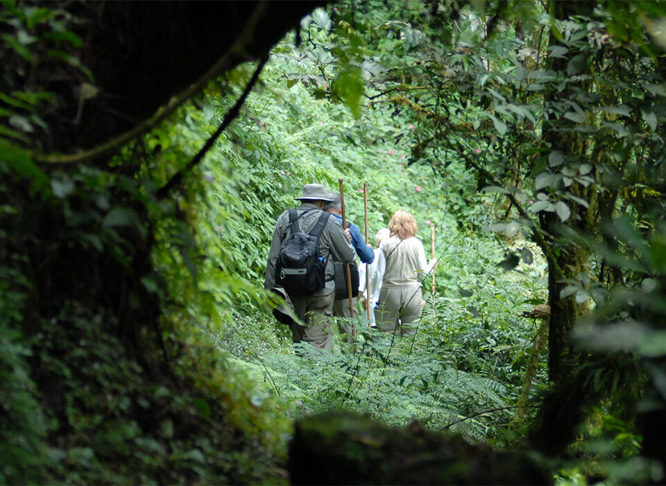 3 Days Rwanda Gorilla Trekking and Dian Fossey Hike