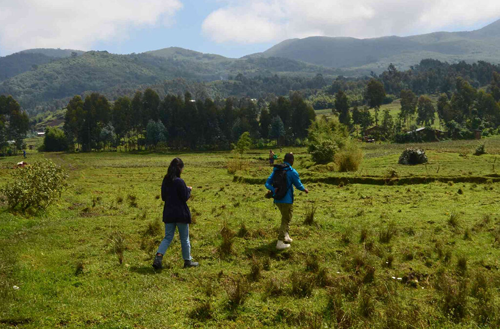 Exploring Mount Bisoke - A Comprehensive Guide to an effective Hike