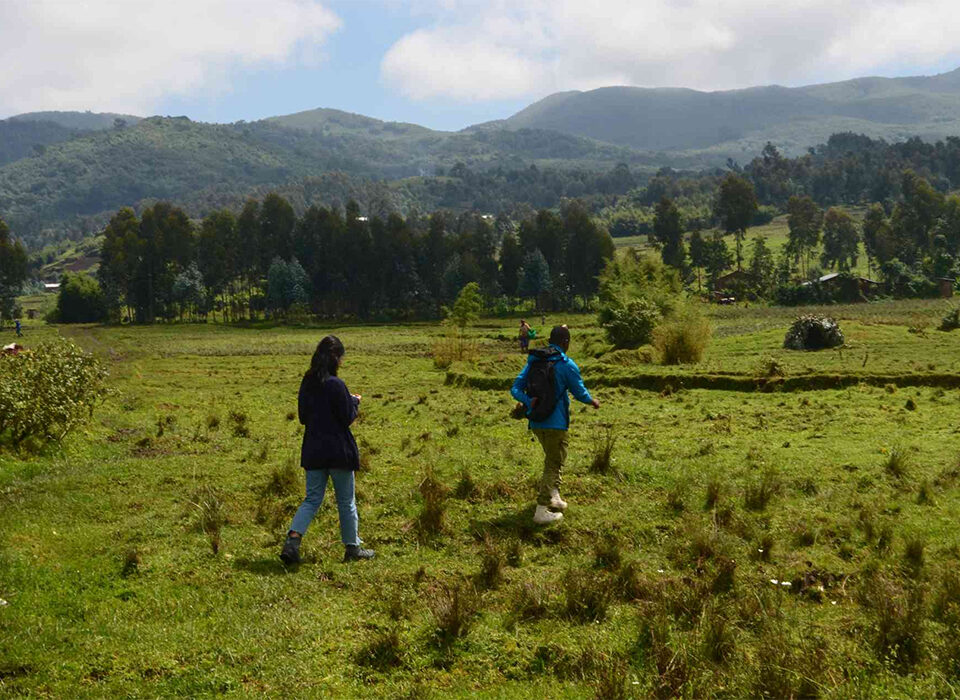 Exploring Mount Bisoke - A Comprehensive Guide to an effective Hike