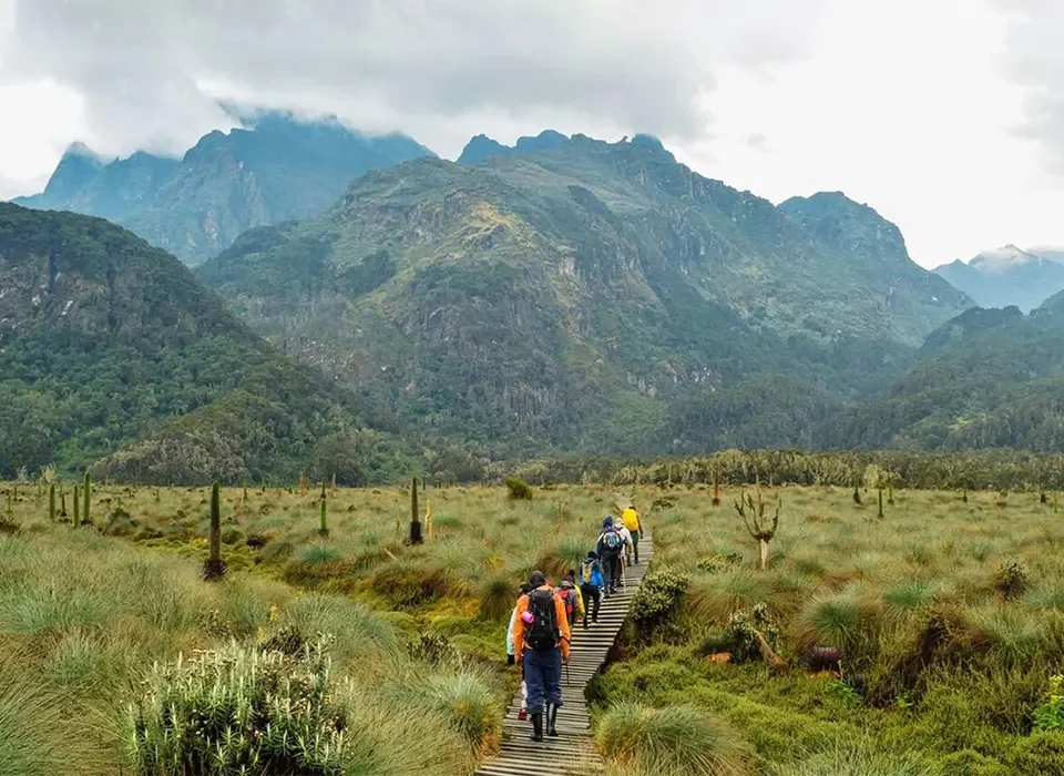 Hiking Mount Rwenzori & Mount Elgon Experience in Uganda