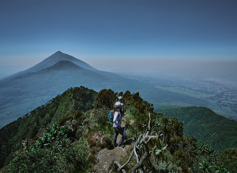 Hiking the Virunga Mountains through Uganda or Rwanda