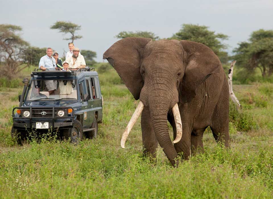 Most Safest Countries in Africa to Visit in 2025-2026 on Safari Vacation