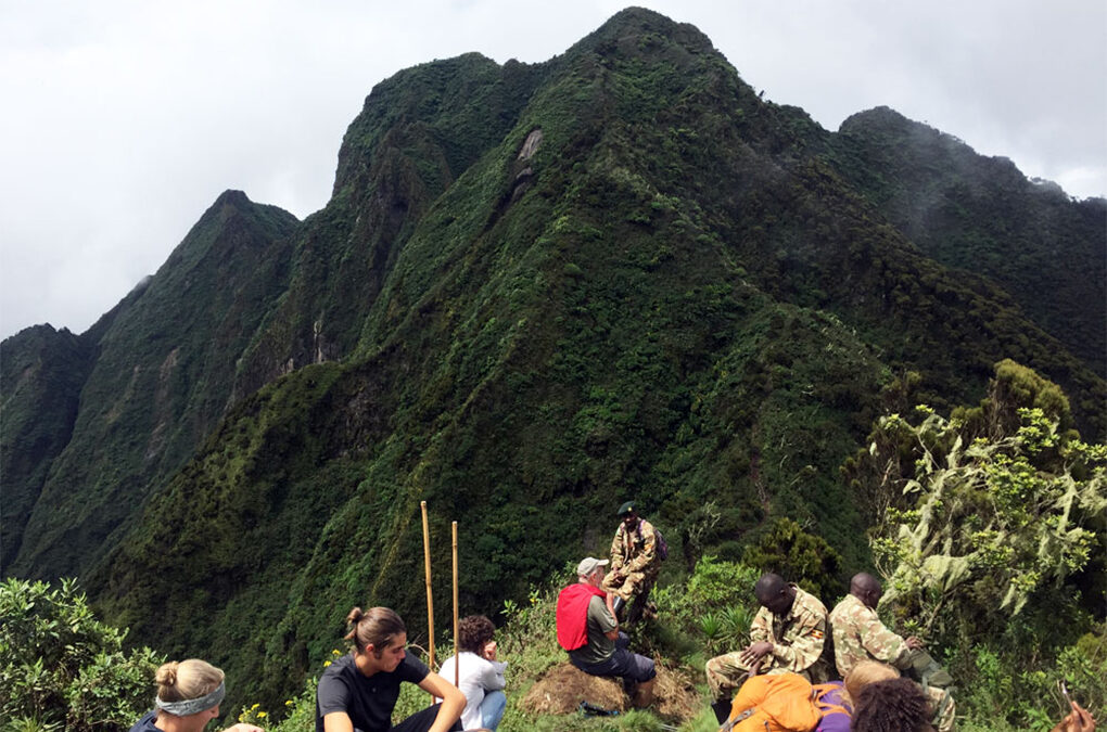 4 Day Gorillas and Mountain Sabinyo Hike safari