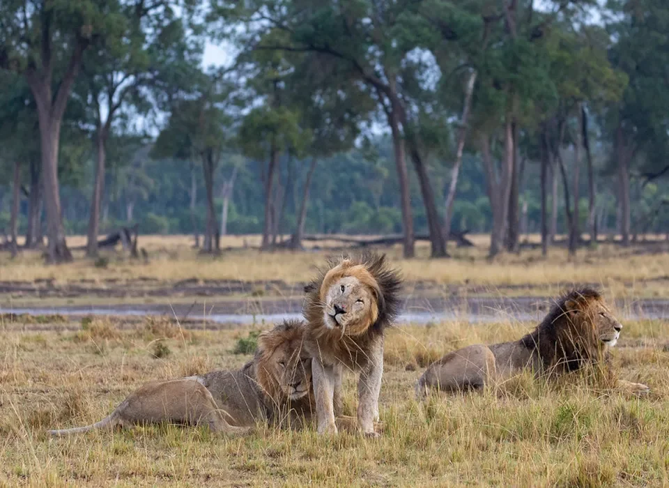 Destination-Kenya