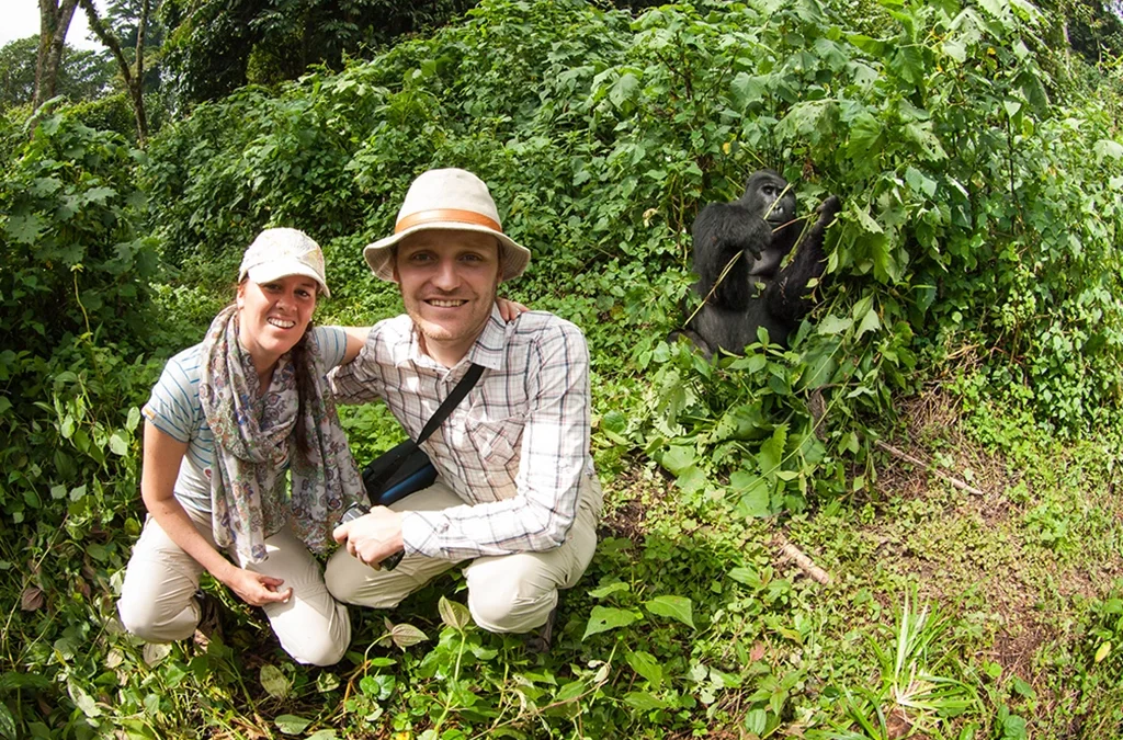 Gorilla Habituation Experience in Bwindi What You Need to Know