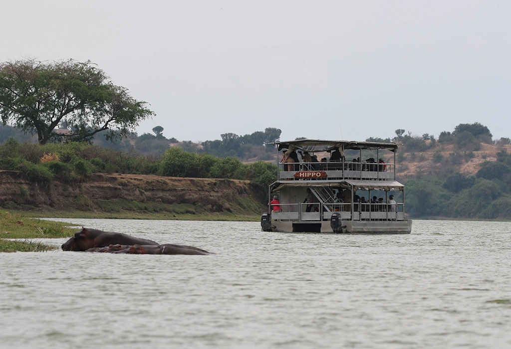 Best places to see hippos in East Africa