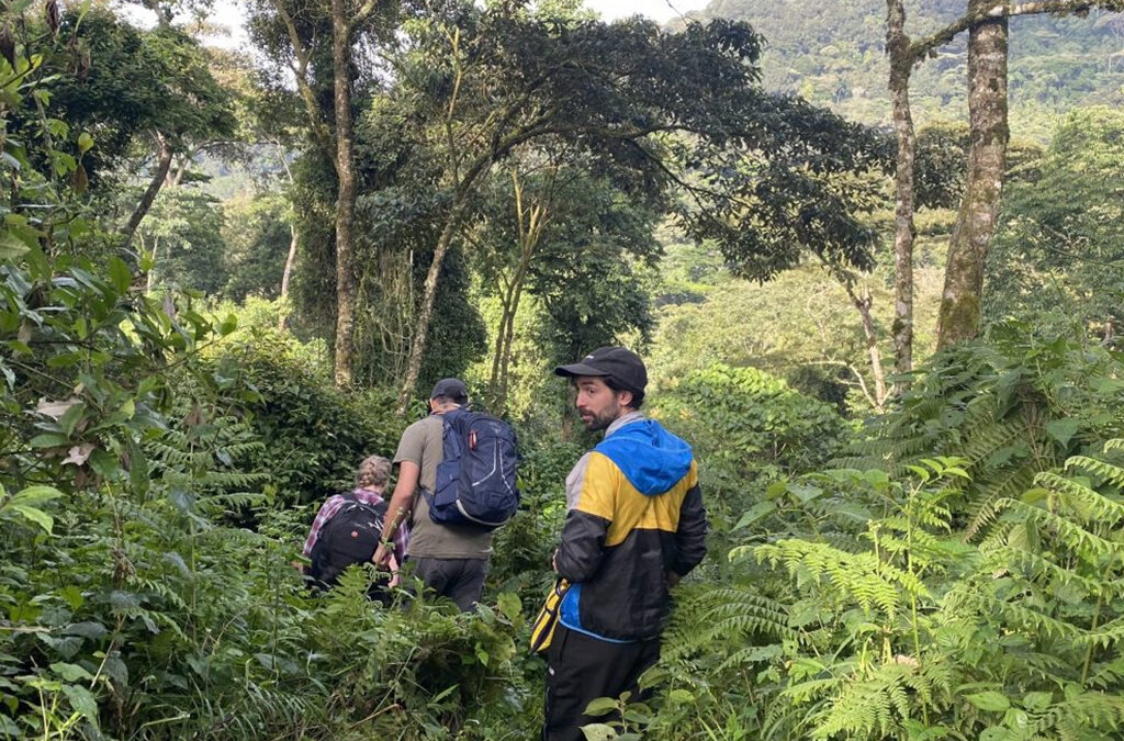Nature-Walks-in-Bwindi