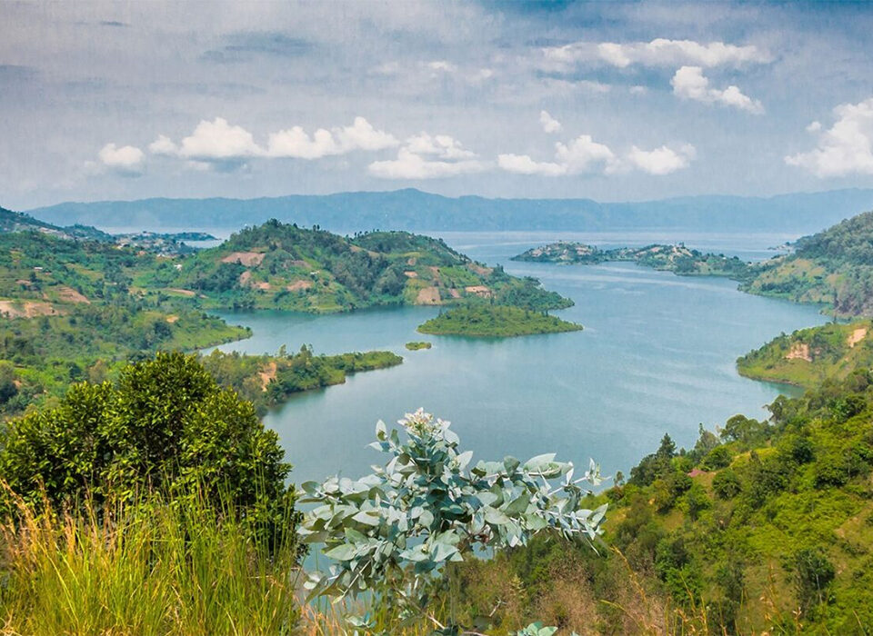 Nyungwe National Park & Lake Kivu Safari in Rwanda for 6 Days