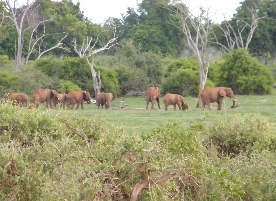 Tsavo East National Park