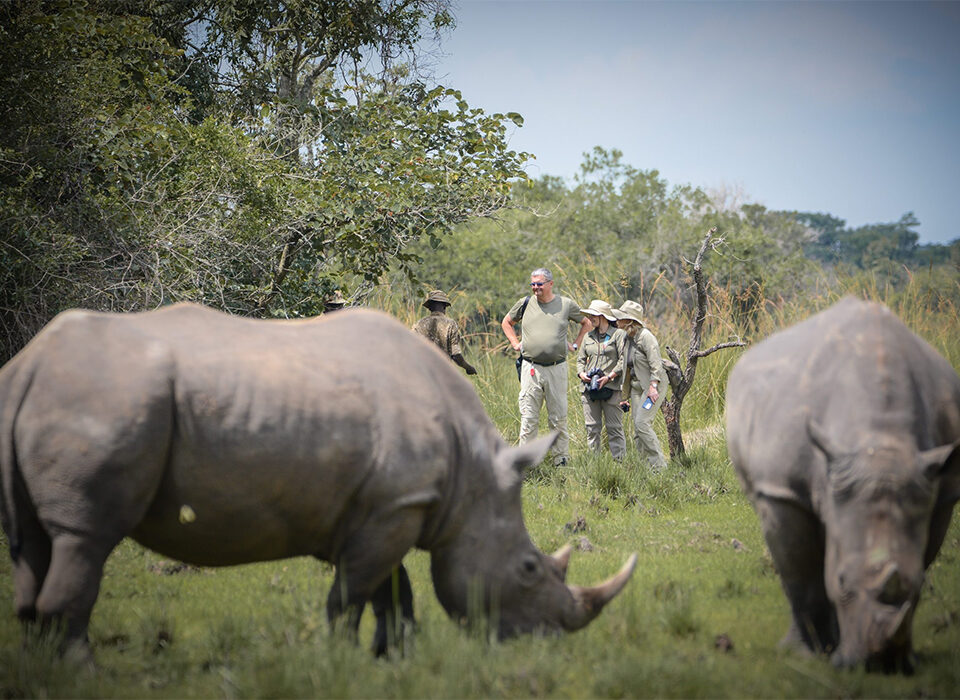 14 Days Uganda & Rwanda Primates and Wildlife Safari