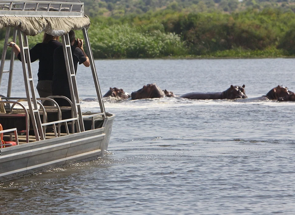 Explore Uganda, the Pearl of Africa's Top Safari Attractions