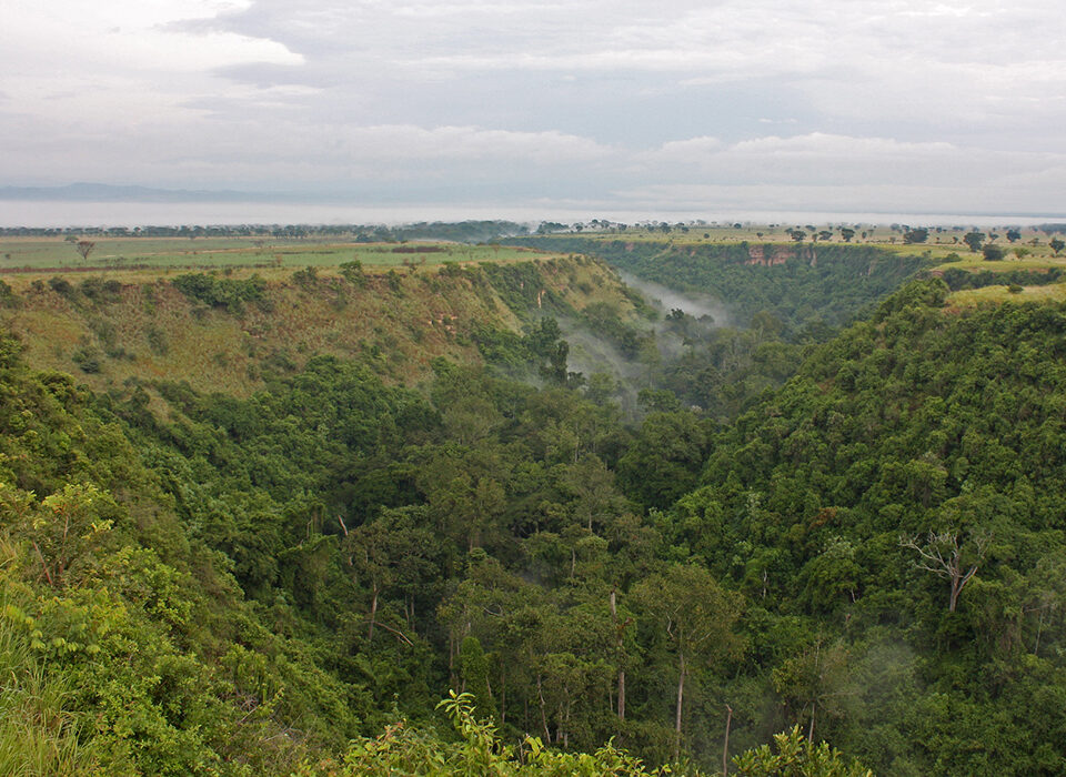 Exploring the Kyambura Gorge Sector of Queen Elizabeth National Park