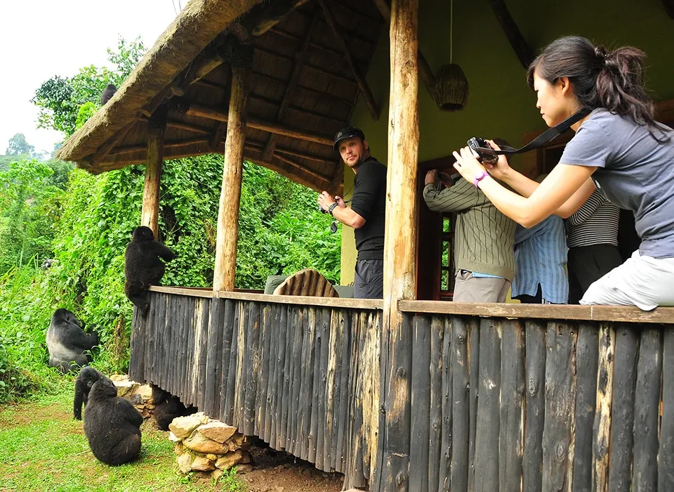 Gorilla Trekking in Africa for Pregnant Women