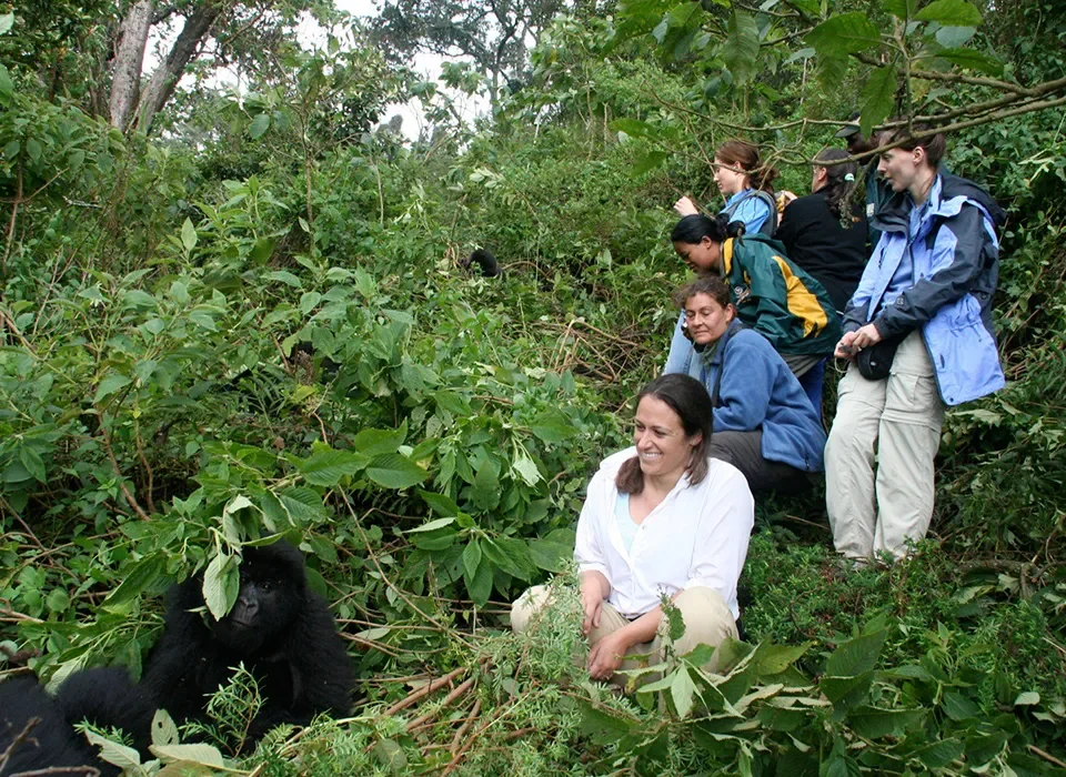 Gorillas and Game Luxury Safari in Uganda – 5 Days